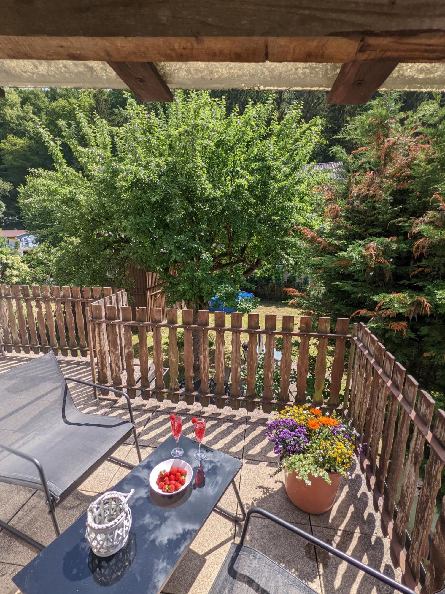 H2 - Urlaubsmagie - Garten, Pool, Terrasse, Grill Sebnitz Exterior photo